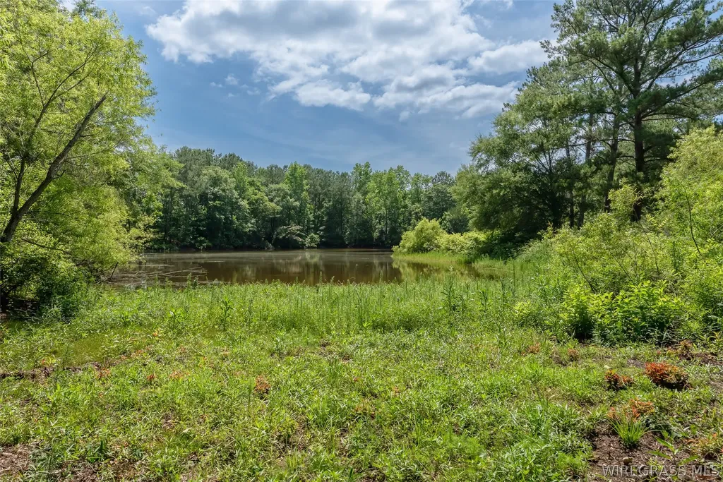 21655 Highway 189 Elba AL 36323