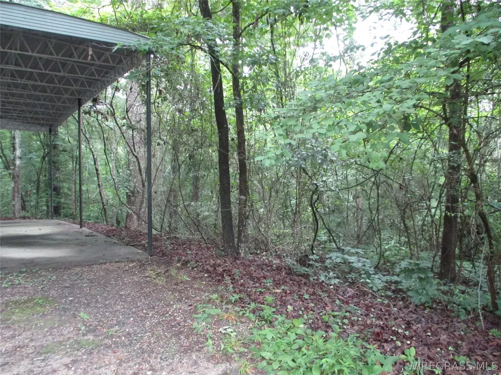 173 Pinecrest Drive Ozark AL 36360