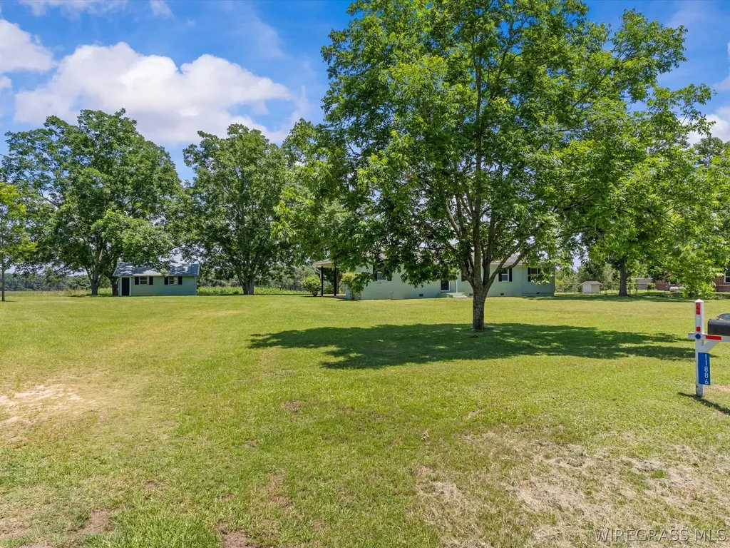 11886 N Highway 27 Chancellor AL 36316