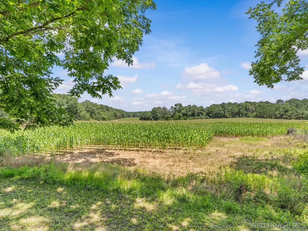 11886 N Highway 27 Chancellor AL 36316