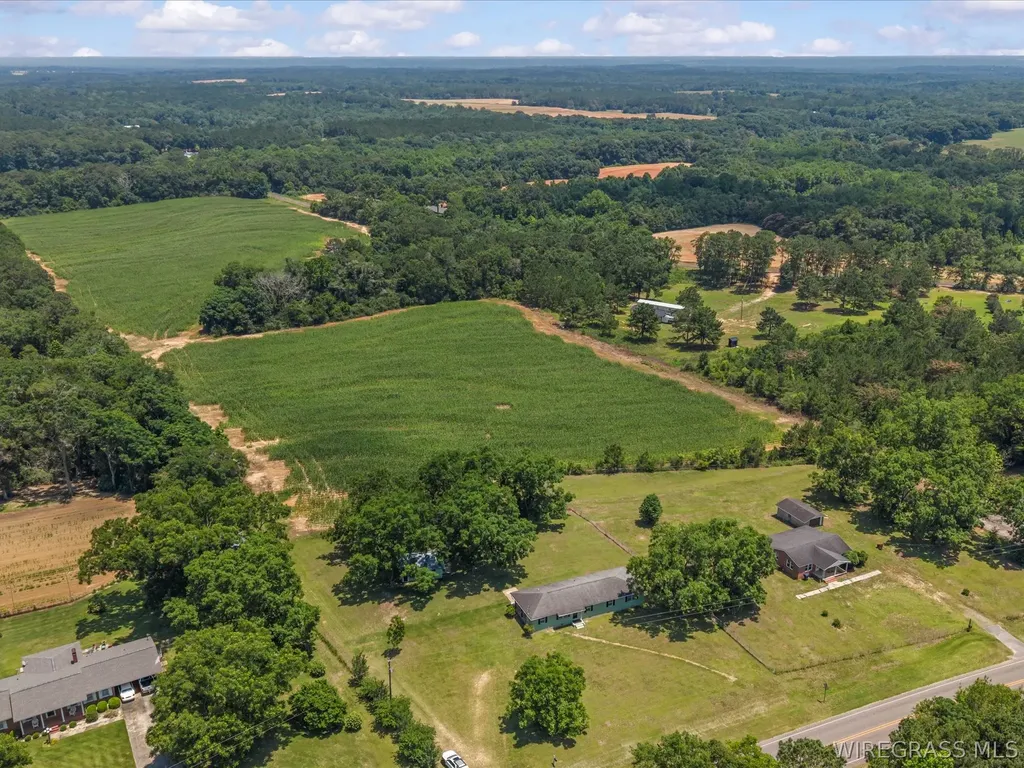 11886 N Highway 27 Chancellor AL 36316