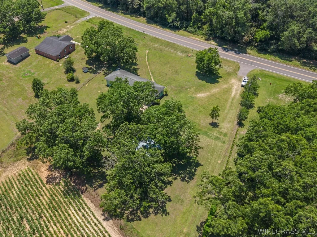 11886 N Highway 27 Chancellor AL 36316