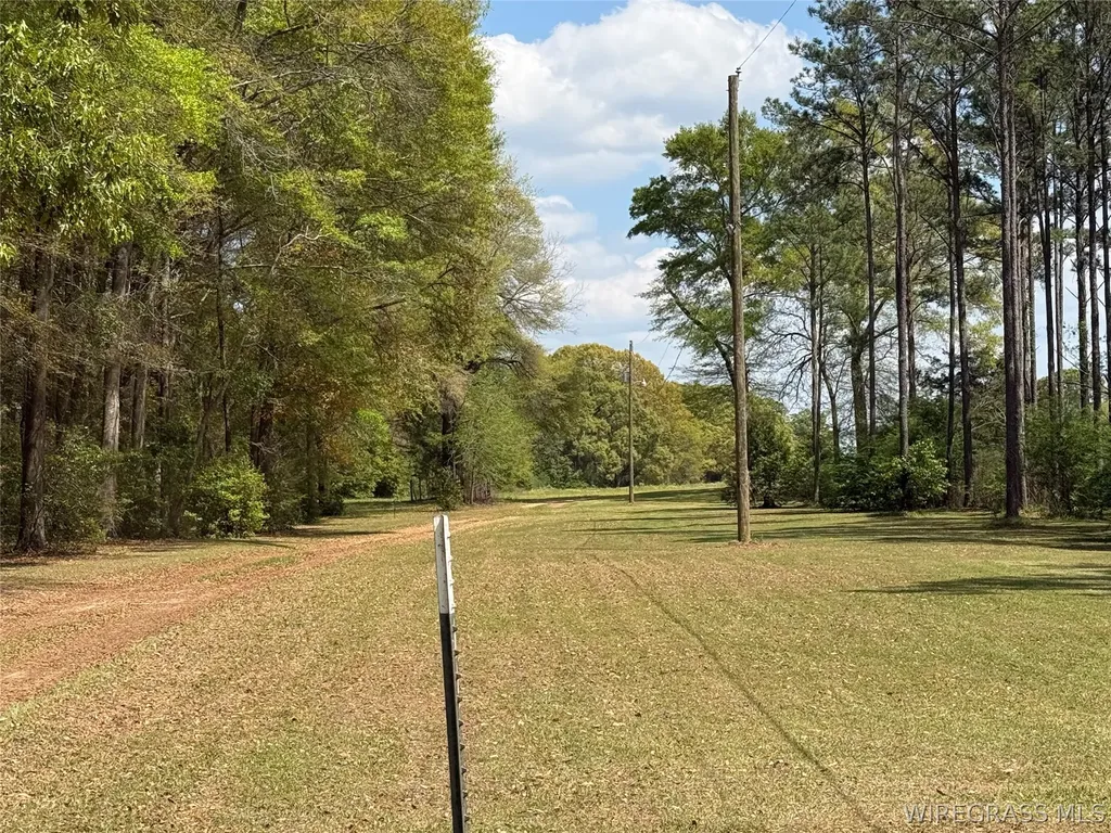 2918 Highway 51 Enterprise AL 36330