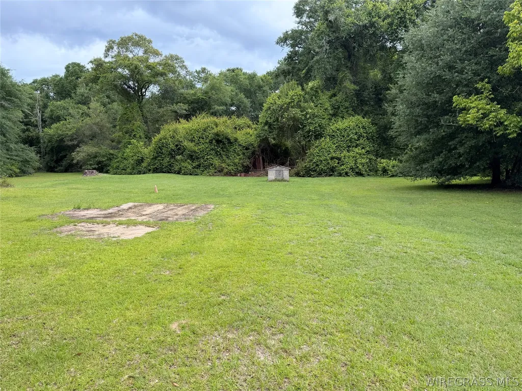 169 County Road 3326 Brundidge AL 36010