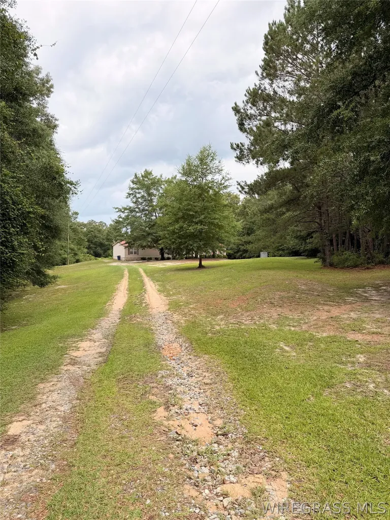 169 County Road 3326 Brundidge AL 36010