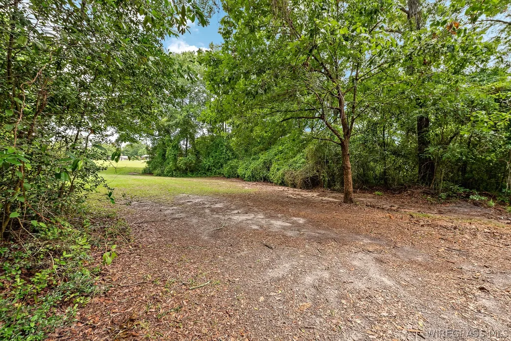 306 N Cherokee Street Geneva AL 36340