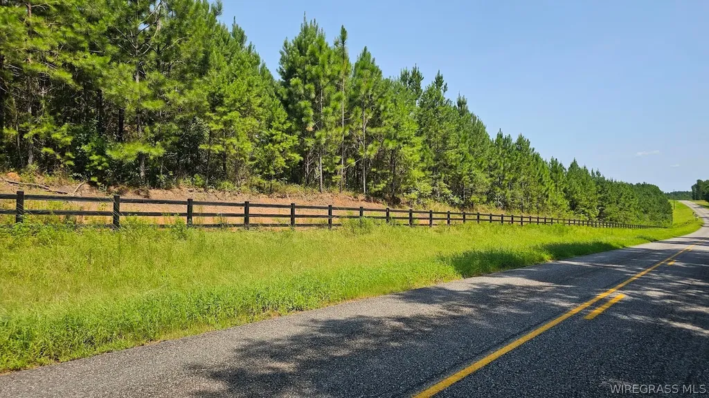 5 County Road 13 Ozark AL 36360