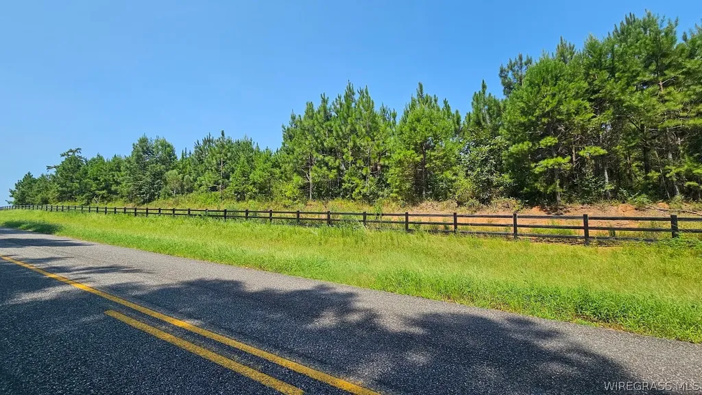 5 County Road 13 Ozark AL 36360