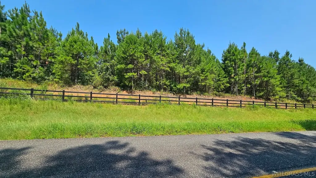 5 County Road 13 Ozark AL 36360