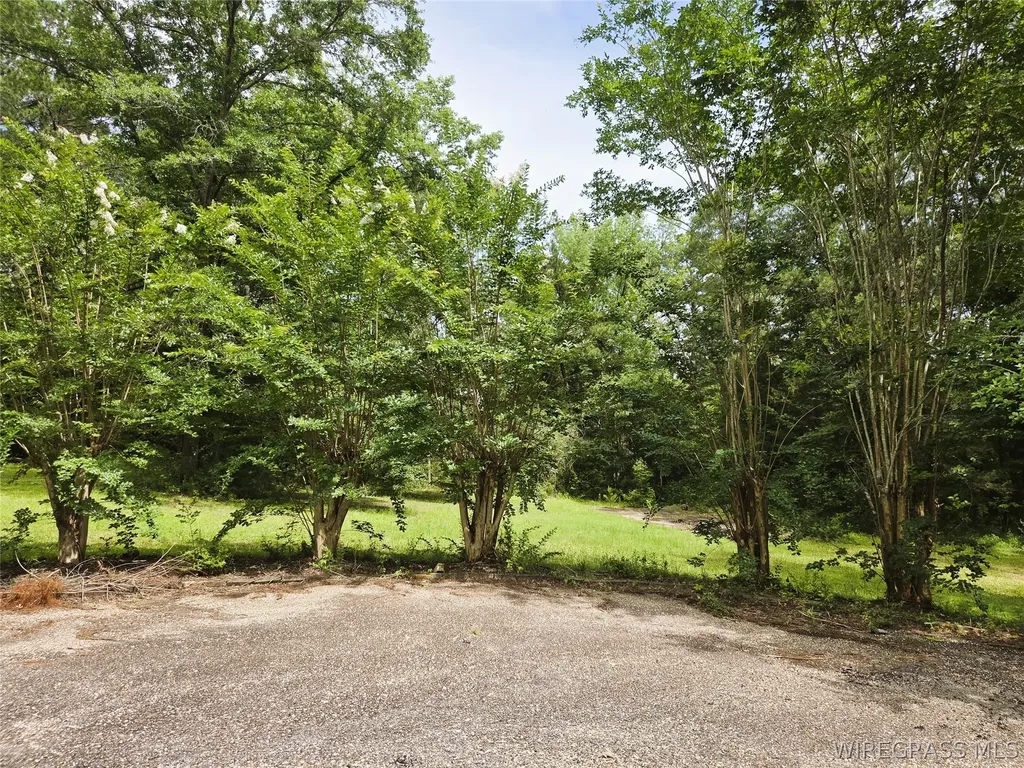 267 Sam Lisenby Road Ozark AL 36360