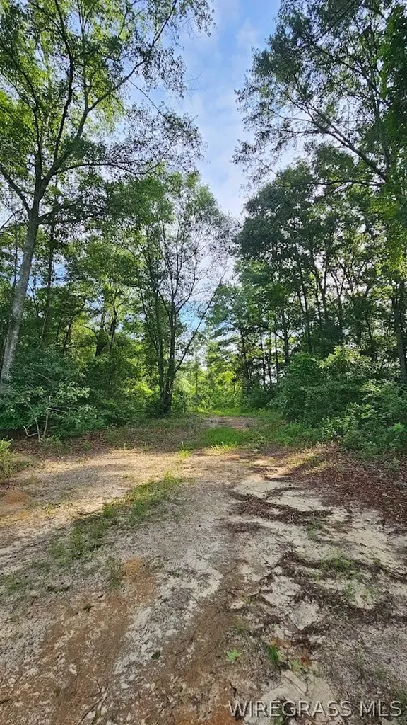 Ariton AL, 931 County Road 216