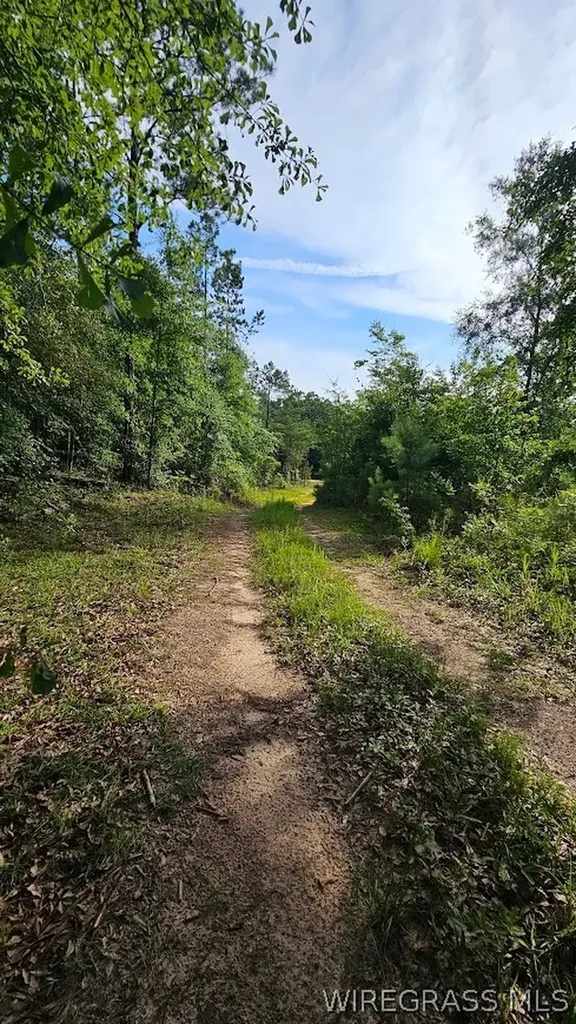 931 County Road 216 Ariton AL 36311