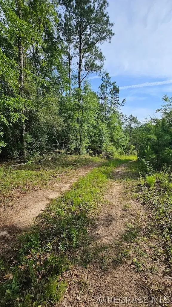 931 County Road 216 Ariton AL 36311