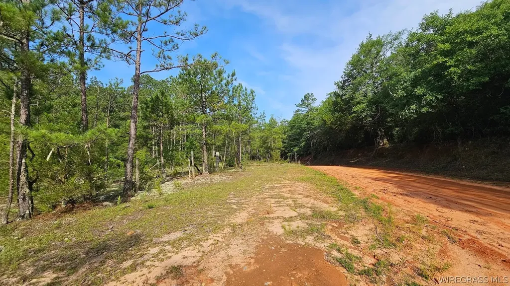 931 County Road 216 Ariton AL 36311