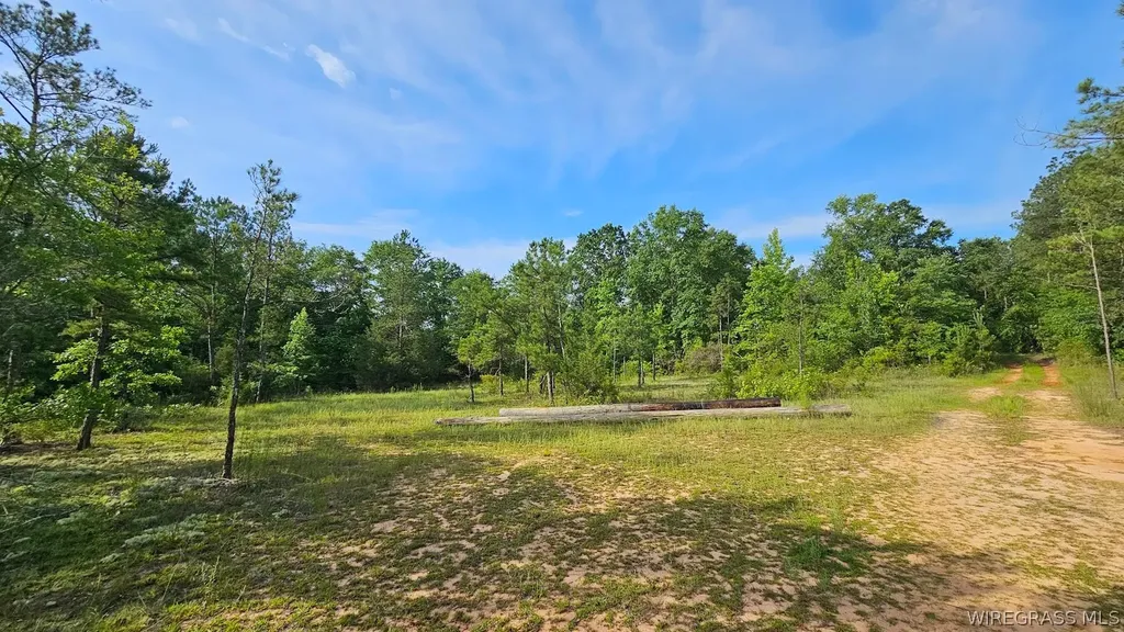 931 County Road 216 Ariton AL 36311