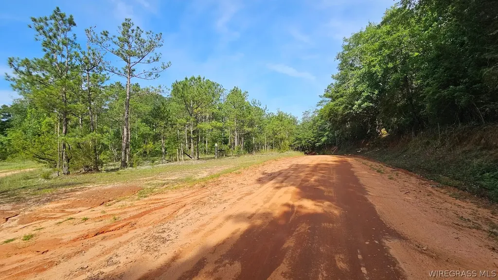 931 County Road 216 Ariton AL 36311