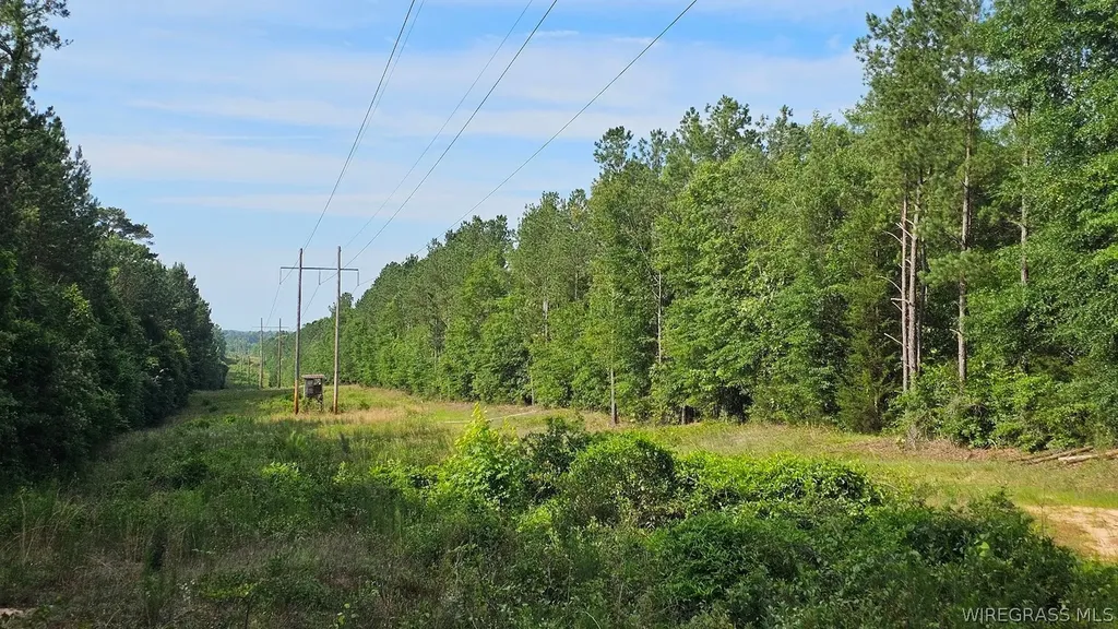 931 County Road 216 Ariton AL 36311