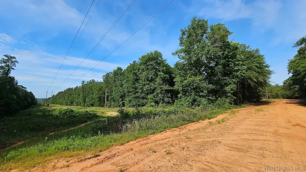 931 County Road 216 Ariton AL 36311