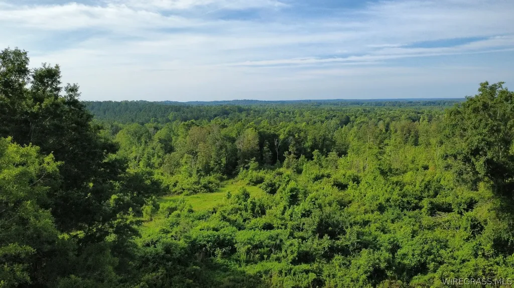 931 County Road 216 Ariton AL 36311