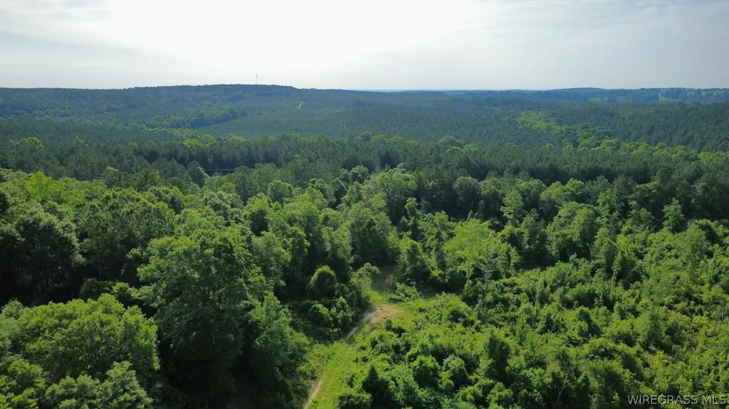 931 County Road 216 Ariton AL 36311