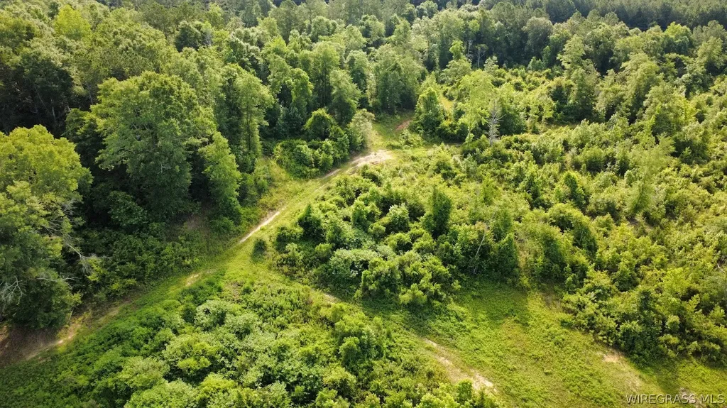 931 County Road 216 Ariton AL 36311