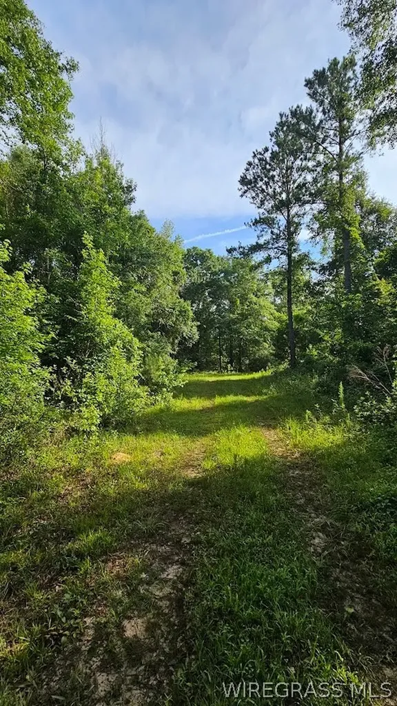 931 County Road 216 Ariton AL 36311