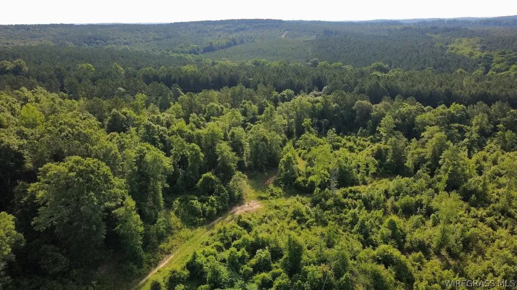 931 County Road 216 Ariton AL 36311