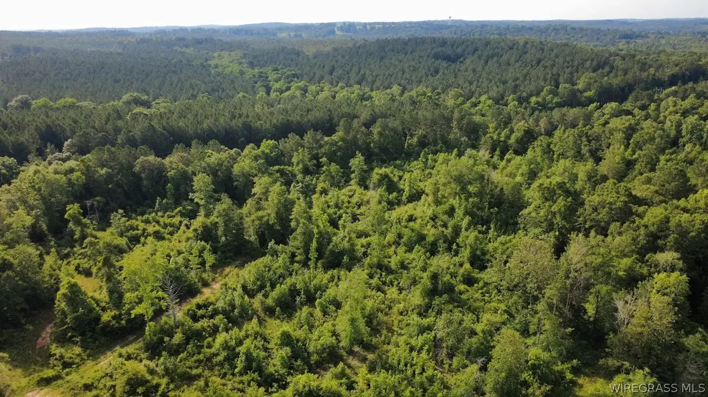 931 County Road 216 Ariton AL 36311