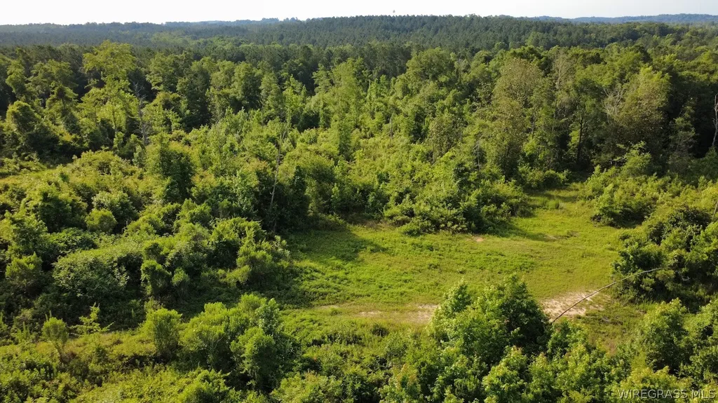 931 County Road 216 Ariton AL 36311