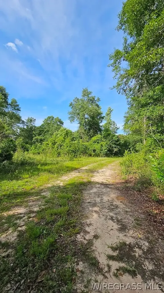 931 County Road 216 Ariton AL 36311