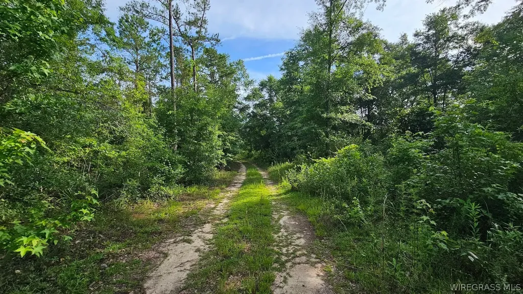 931 County Road 216 Ariton AL 36311