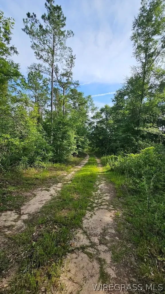 931 County Road 216 Ariton AL 36311