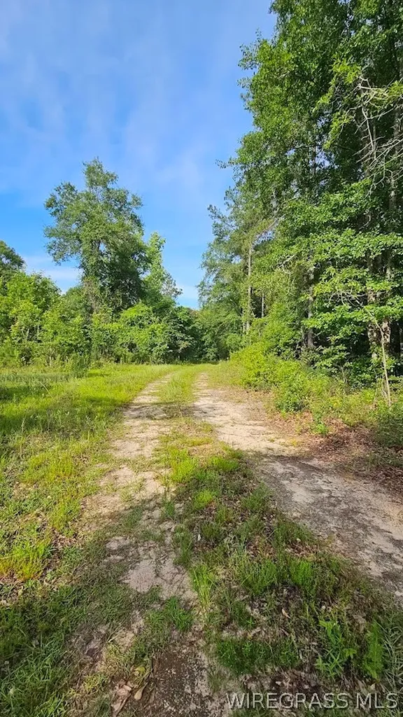 931 County Road 216 Ariton AL 36311