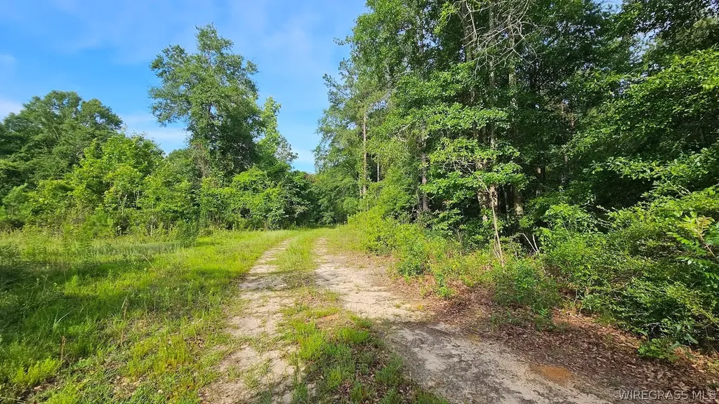 931 County Road 216 Ariton AL 36311