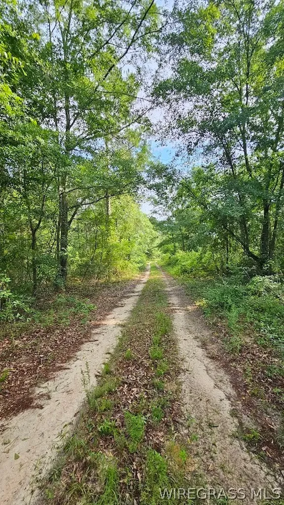 931 County Road 216 Ariton AL 36311
