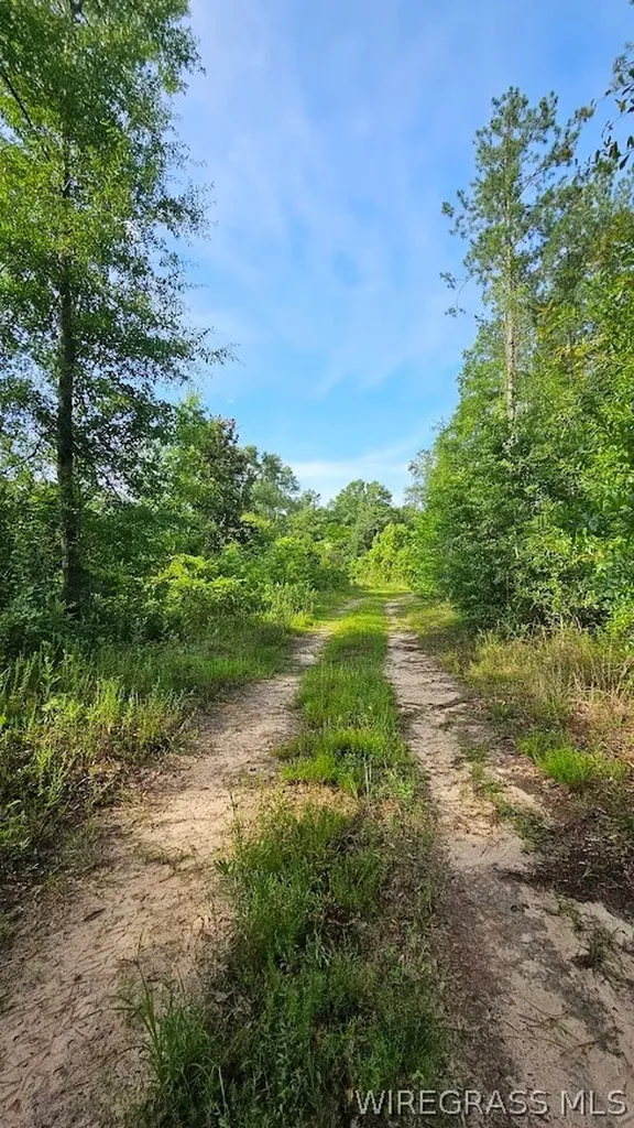 931 County Road 216 Ariton AL 36311