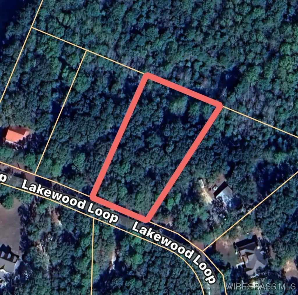 223 Lakewood Loop Geneva AL 36340