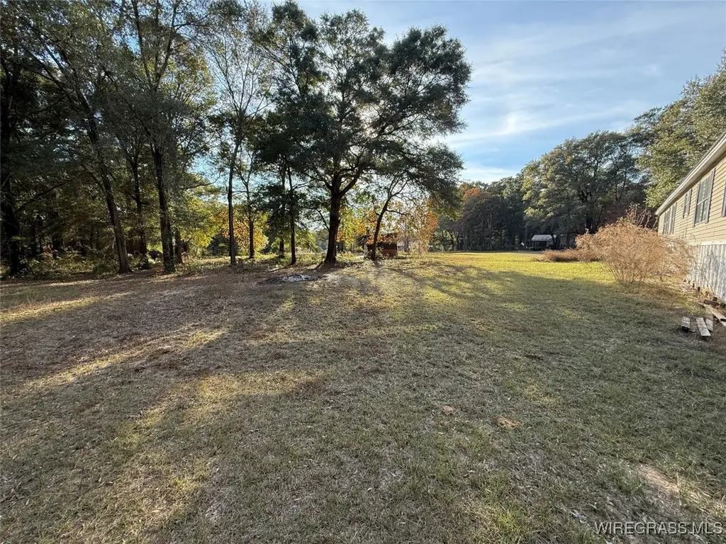 91 Ann Drive Daleville AL 36322