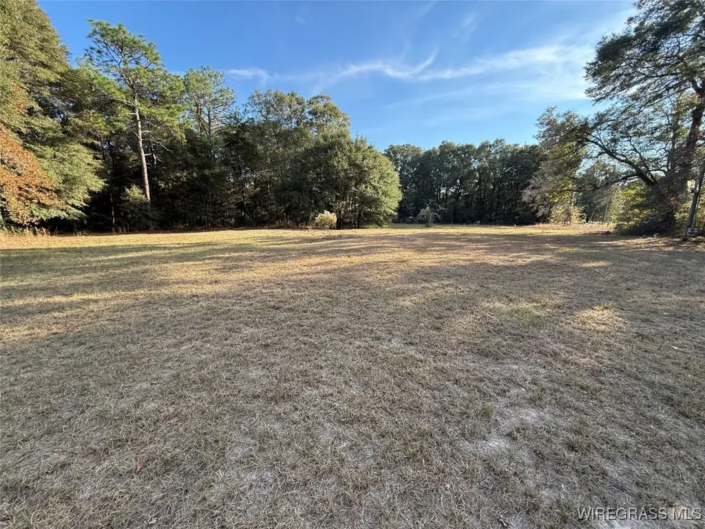 91 Ann Drive Daleville AL 36322