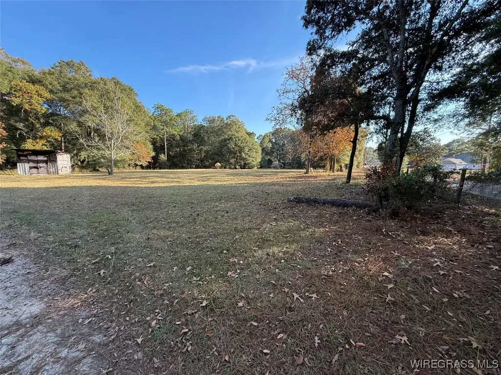 91 Ann Drive Daleville AL 36322