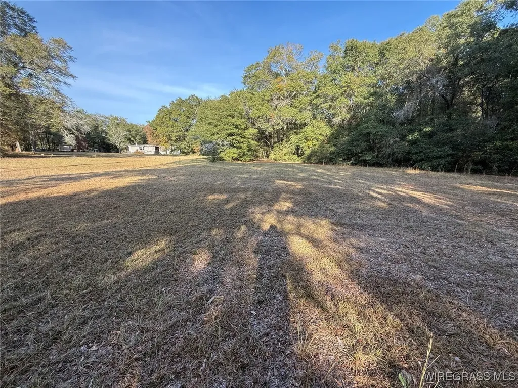 91 Ann Drive Daleville AL 36322