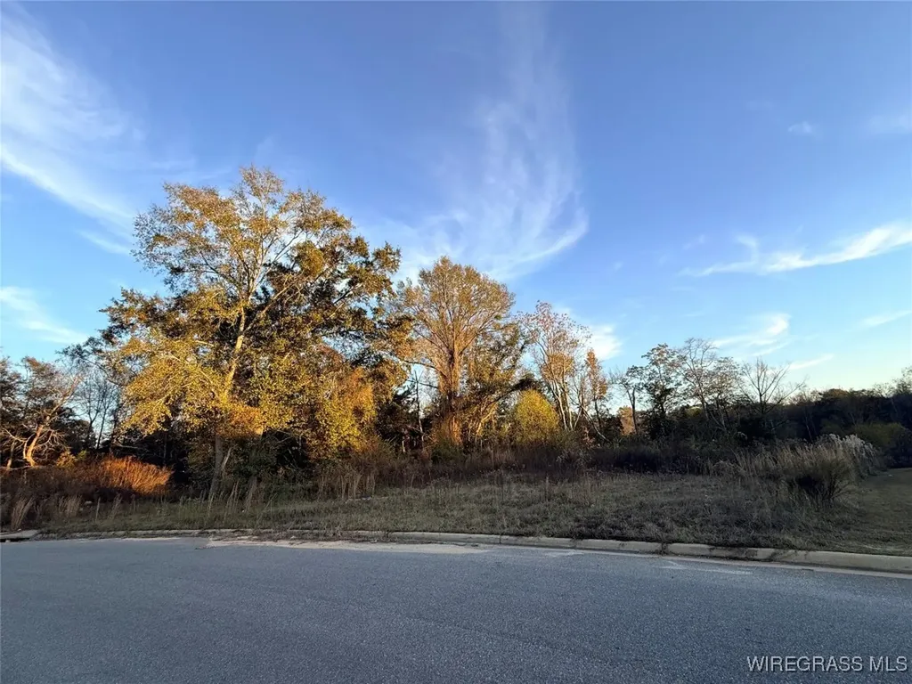 322 Lakes Drive Enterprise AL 36330