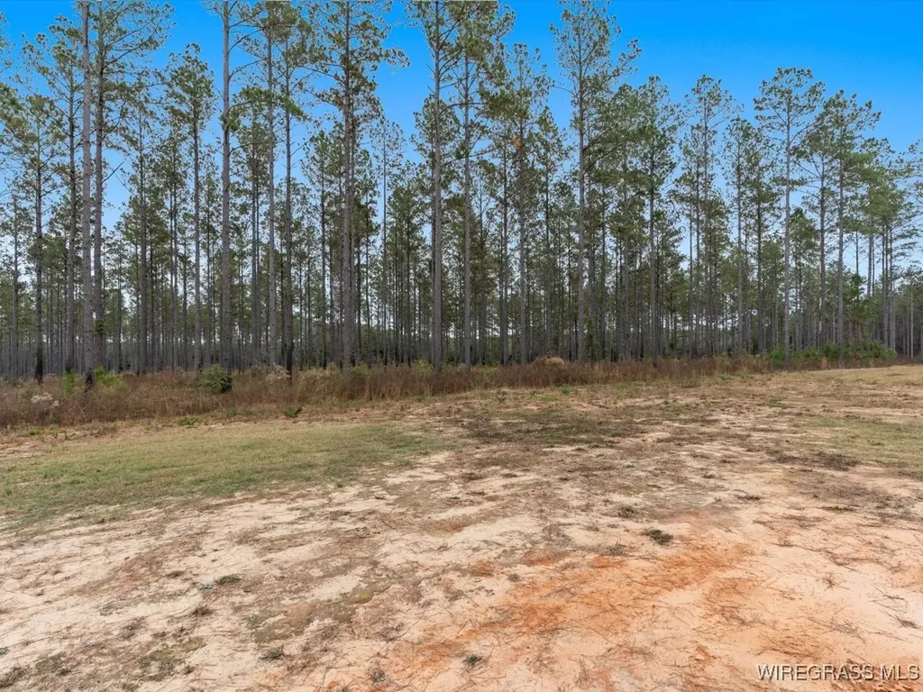 3402 N County Road 61 Hartford AL 36344