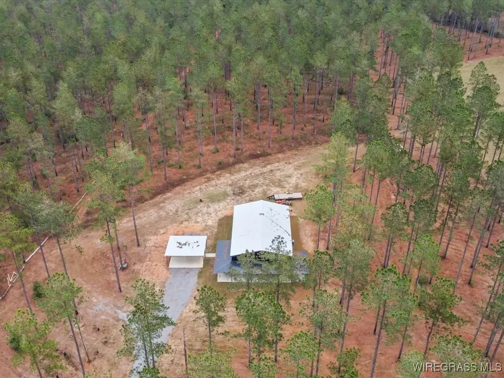 3402 N County Road 61 Hartford AL 36344