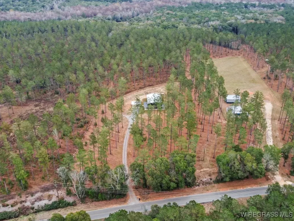 3402 N County Road 61 Hartford AL 36344