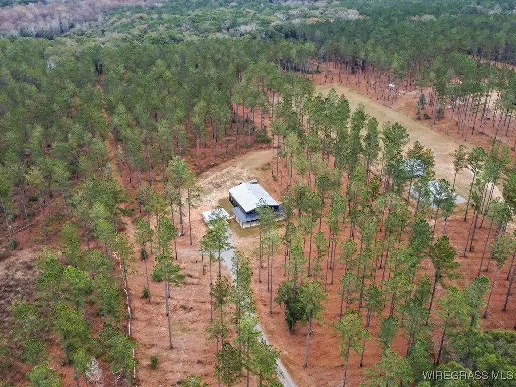 3402 N County Road 61 Hartford AL 36344