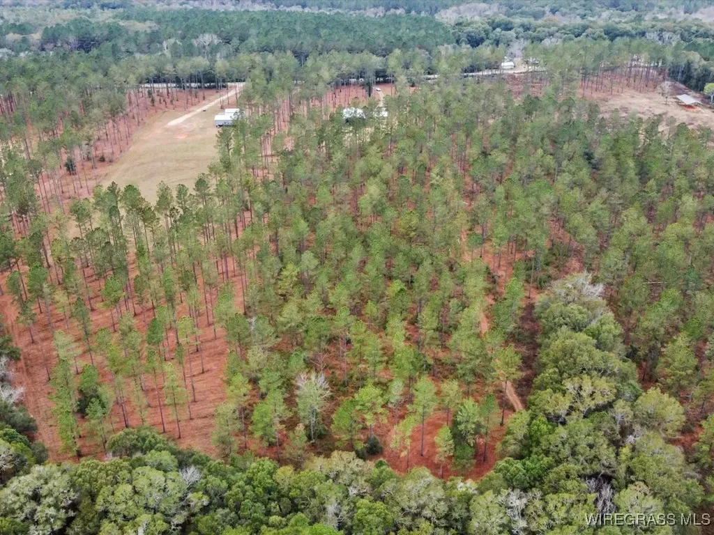 3402 N County Road 61 Hartford AL 36344