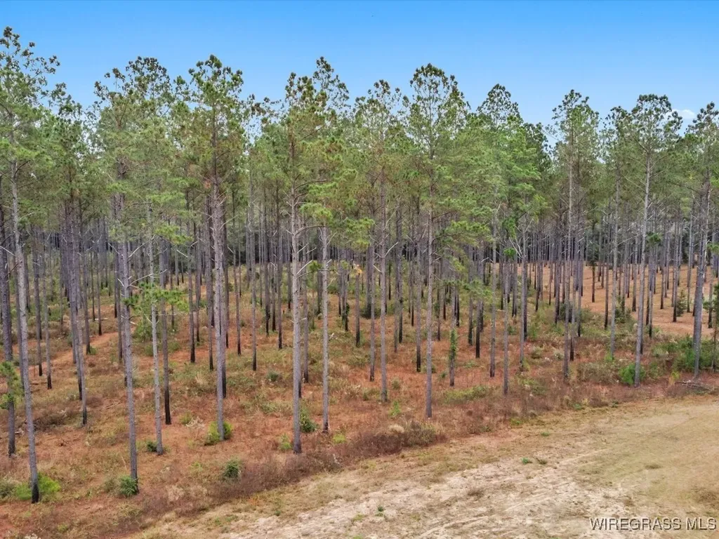 3402 N County Road 61 Hartford AL 36344