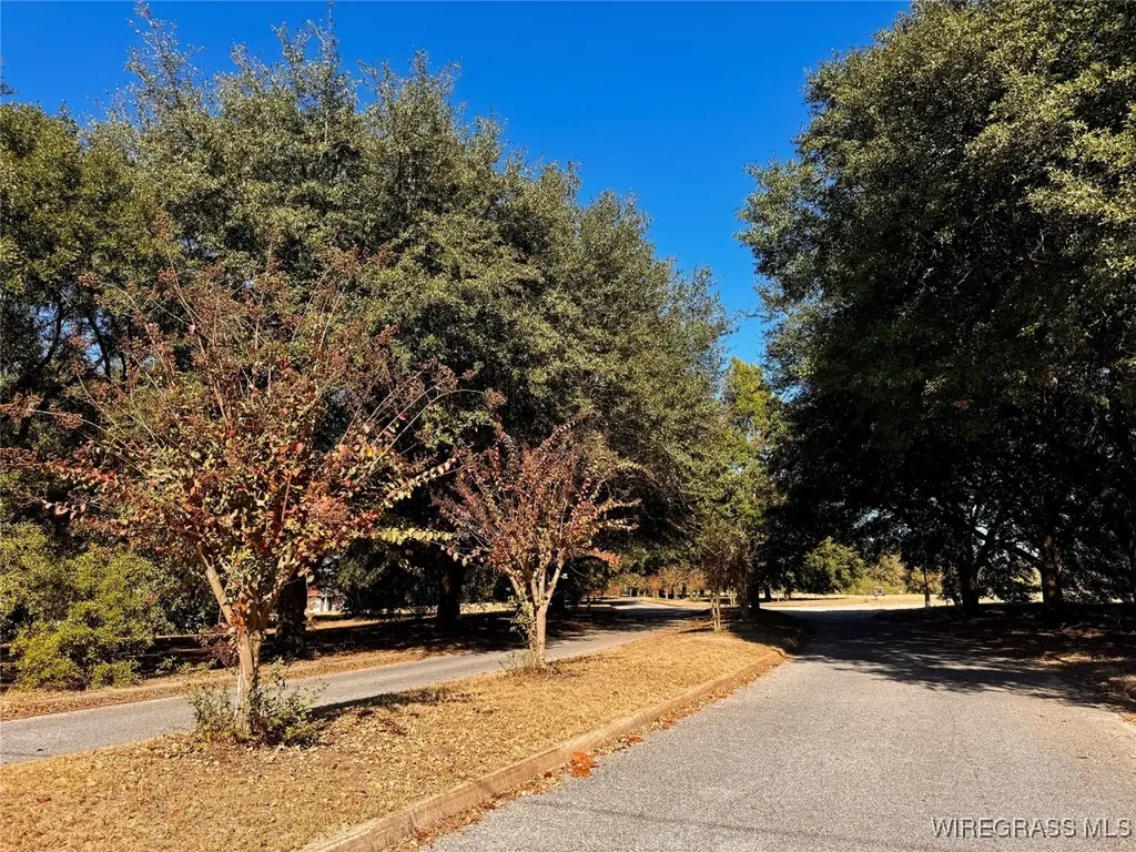 112 Cannondale Circle Cowarts AL 36321