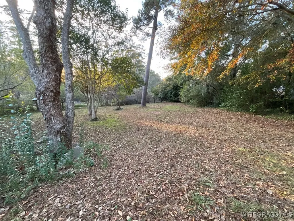 603 N Main Street Opp AL 36467